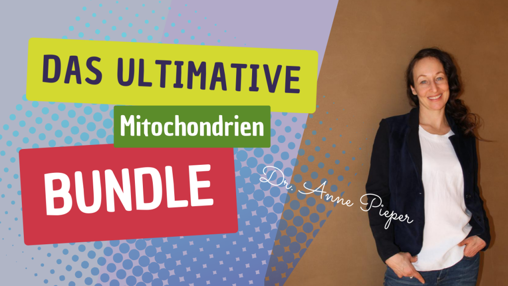Mitochondrien stärken Mito Bundle